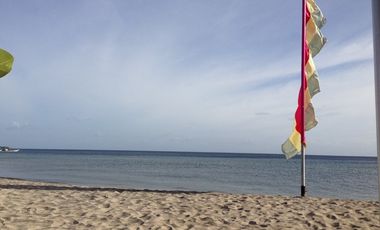 FOR SALE: Batangas Beach house for sale Playa Laiya San Juan Batangas
