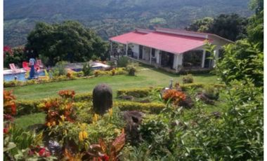 SE VENDE FINCA AGROTURISTICA RENTANDO EN ICONONZO , TOLIMA