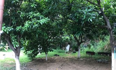 Venta de casa campestre con árboles frutales Bonda - Santa Marta