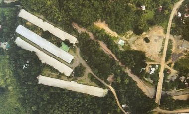5.729HA Tunnel Vent Poultry with valid ECC for sale at Tagaloan