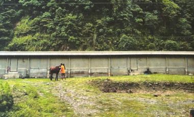 5.729HA Tunnel Vent Poultry with valid ECC for sale at Tagaloan