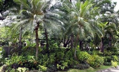 For Sale: 5 Bedroom Spacious House in Forbes Park, Makati City