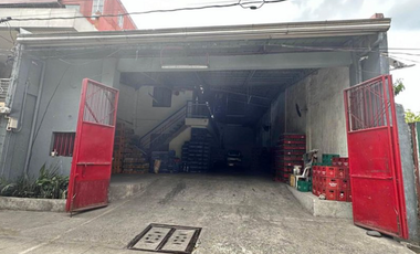 249 sqm Lot with Office Warehouse in Malinta, Valenzuela City