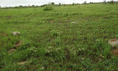 Agricultural Lot for sale