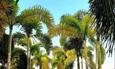 Villa for Rent at Clark Pampanga Beside Hilton @ D’Heights Resort, Angeles
