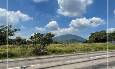 1.6 Hectare Land for Sale in Barangay Arenas, Arayat, Pampanga