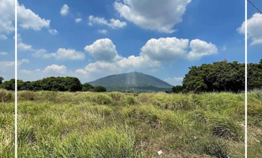 1.6 Hectare Land for Sale in Barangay Arenas, Arayat, Pampanga