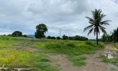 Bataan Property @Catalina Lake Residential Lot