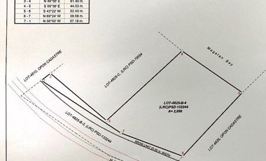 2,856 sqm Commercial Lot for Lease in Buaya, Lapu-Lapu City, Cebu