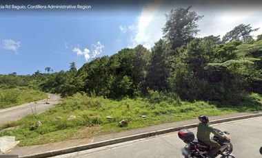 1.2 Hectare Lot for Sale at 18k/sqm at Pinewoods Estate