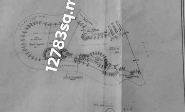 1.2 Hectare Lot for Sale at 18k/sqm at Pinewoods Estate