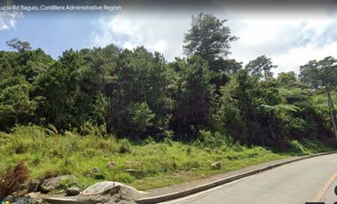1.2 Hectare Lot for Sale at 18k/sqm at Pinewoods Estate