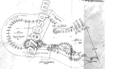 1.2 Hectare Lot for Sale at 18k/sqm at Pinewoods Estate