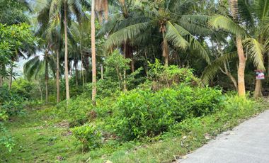Ideal Lot For Retirement Home For Sale in Biking, Dauis