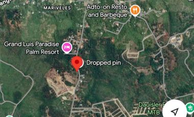 Ideal Lot For Retirement Home For Sale in Biking, Dauis