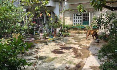 300 sqm 4-Bedroom House with Garden and Solar Panels in San Jose, Navotas City