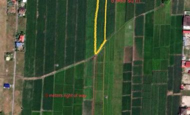 Lot for Sale 5,900 sqm, clean title in Divisoria Mexico, Pampanga