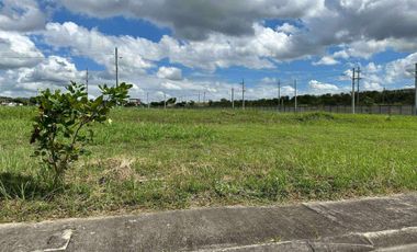 Lot 165 sqm in Alviera Estate Porac, Pampanga for Sale