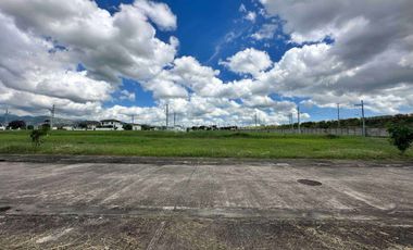 Lot 165 sqm in Alviera Estate Porac, Pampanga for Sale