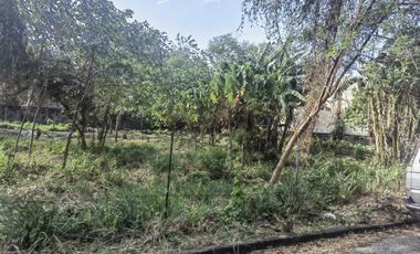 LOT for SALE Don Onofre Subdivision Cabuyao Laguna