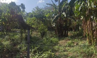 LOT for SALE Don Onofre Subdivision Cabuyao Laguna