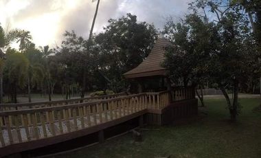 17 Bedrooms Mansion - PHP220M More than 6 Hectares in Davao City