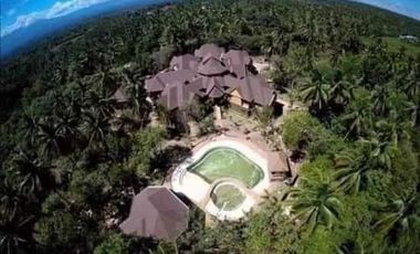 17 Bedrooms Mansion - PHP220M More than 6 Hectares in Davao City