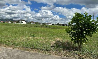 Lot 179 sqm in Alviera Estate Porac, Pampanga for Sale