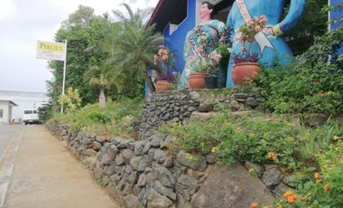 FOR SALE LOT IN EASTRIDGE RIZAL VILLAGE EAST 3 BINANGONAN VIEW OF METROPOLIS