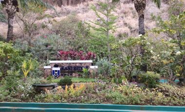 FOR SALE LOT IN EASTRIDGE RIZAL VILLAGE EAST 3 BINANGONAN VIEW OF METROPOLIS