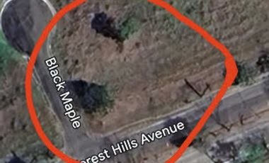 Eastland Heights Antipolo Lot for Sale