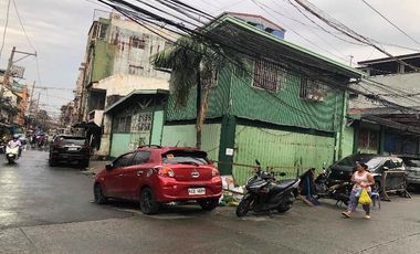 Residential Plot for sale in Metro Manila, Manila