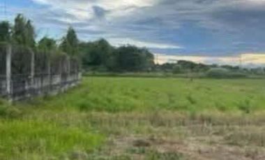 Agricultural Lot for sale