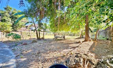 Lot For Sale Ayala Alabang Village Muntinlupa Prime Area