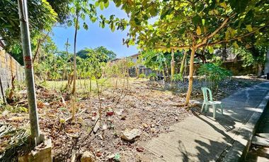 Lot For Sale Ayala Alabang Village Muntinlupa Prime Area