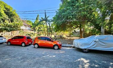 Lot For Sale Ayala Alabang Village Muntinlupa Prime Area