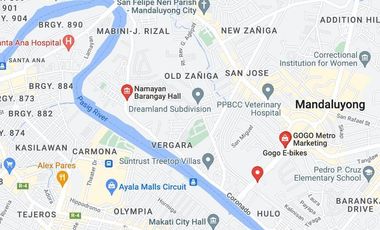 Commercial Lot for sale in P. Burgos Street, Addition Hills, 2nd District, San Juan, Eastern Manila District