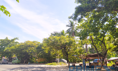 7,235 sq.m. Commercial Lot for Lease in Jubay, Lilo-an, Cebu