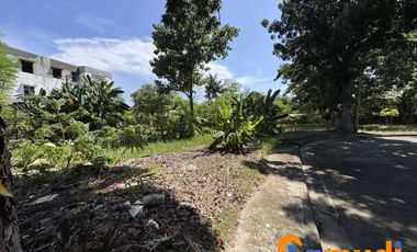 Lot For Sale Villa Magallanes Lapu Lapu City