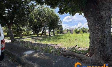Lot For Sale Villa Magallanes Lapu Lapu City