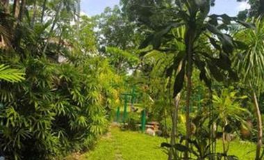 House and Lot for Rent at Wack Wack Village, Mandaluyong City