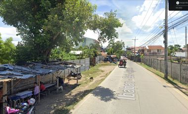 Property # 10067 Commercial Lot For Sale In Barangay Agus, Lapu-Lapu City