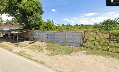 Property # 10067 Commercial Lot For Sale In Barangay Agus, Lapu-Lapu City