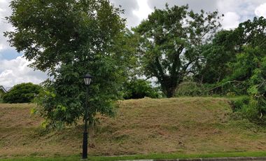 Vacant Lot in Ayala Greenfield Estates Phase 2