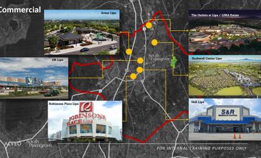 Lot for Sale in Lipa Batangas South Palmgrove by Alveo Land (Pre-Selling)