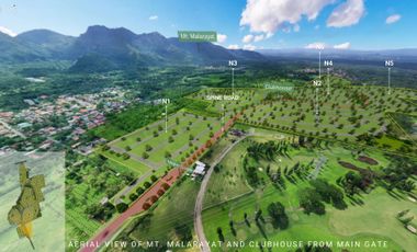 Lot for Sale in Lipa Batangas South Palmgrove by Alveo Land (Pre-Selling)