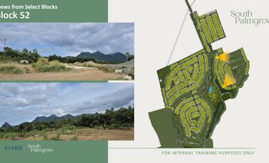 Lot for Sale in Lipa Batangas South Palmgrove by Alveo Land (Pre-Selling)