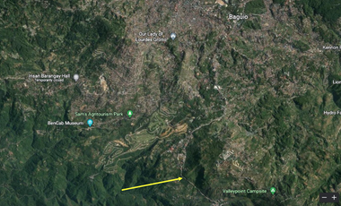 1 Hectare Residential/Agricultural Lot FOR SALE in Tuba, Baguio