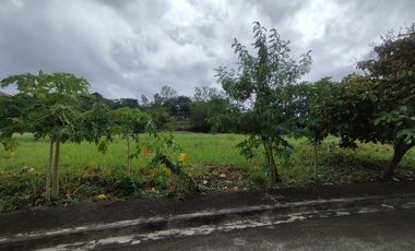 Stonecrest Lots For Sale