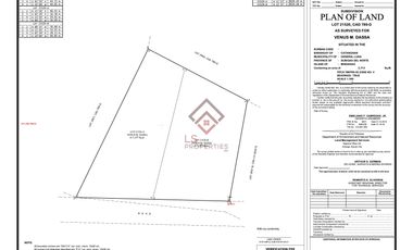 FOR SALE Vacant Agricultural Lot in Siargao - SM49